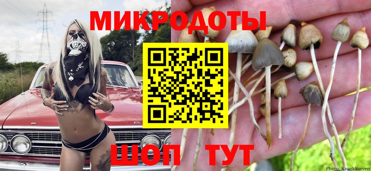 Ишим  Галлюциногенные грибы прущие грибы  Вход с VPN  Псилоцибиновые грибы ЛСД 